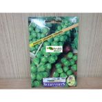 Brüksel Lahana Tohumu Paket Ücretsiz Kargo