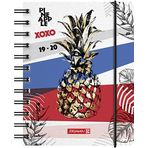 BRUNNEN 1072915020"Pineapple", Öğrenci Takvimi/Günlük Takvim 2019/2020, 1 Sayfa = 1 Gün, Pazartesi + Sonra Tek Tarafında, Yaprak Boyutu 12 x 16 cm, A6, PP Cilt
