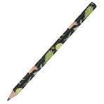 Bruno Visconti 21-0062-32 Happy Graphix Jumbo Botanik 3.5 mm 4B Kurşun Kalem
