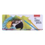Bruynzeel 5789099 N:60312903 45 Renk Parrot Kuru Boya Kalemi