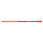 Bruynzeel 5789945 Dessin Aquarell Sanguine N:B883546K Sulu ve Kuru Boya Kalemi