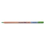 Bruynzeel 5789953 Dessin Aquarell Light Green N:B883560K Sulu Boya Kalemi