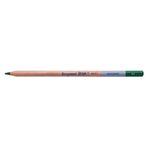 Bruynzeel 5789954 Dessin Aquarell Dark Green N:B883561K Sulu Boya Kalemi