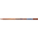 Bruynzeel Design Aquarel 42 Sienna Kuru ve Sulu Boya Kalemi