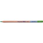 Bruynzeel Design Aquarel 60 Light Green Kuru ve Sulu Boya Kalemi