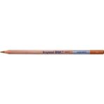 Bruynzeel Design Aquarel 79 Burnt Ochre Kuru ve Sulu Boya Kalemi