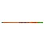 Bruynzeel Design Colour 60 Light Green Kuru Boya Kalemi