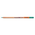Bruynzeel Design Colour Dark Leaf Green Kuru Boya Kalemi