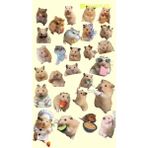 Bsb Hamster Telefon Laptop Notebook Tablet Defter Matara Stiker Etiket ST2177