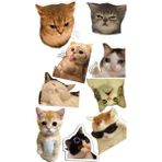 Bsb Kedi Telefon Laptop Notebook Tablet Defter Matara Stiker Etiket ST2088