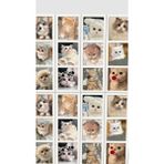 Bsb Kedi Telefon Laptop Notebook Tablet Defter Matara Stiker Etiket ST2095