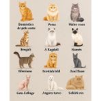 Bsb Kedi Telefon Laptop Notebook Tablet Defter Matara Stiker Etiket ST2136