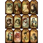 Bsb Kedi Telefon Laptop Notebook Tablet Defter Matara Stiker Etiket ST2245