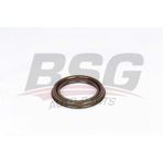Bsg 30-116-131 Aks Keçesi (arka) 30116131 (wa418443)