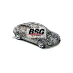 Bsg 60 -0-022 Porya Rulmanı Arka 169-245 2004-2011 Bm Komple