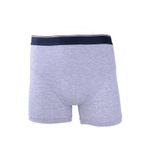 BSM 041904 Gri Erkek Boxer