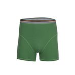 BSM 44503 Modal Çimen Yeşili Erkek Boxer
