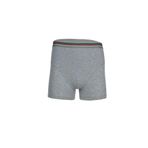 BSM 44503 Modal Gri Erkek Boxer