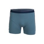 BSM 44503 Modal Petrol Erkek Boxer