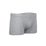 BSM 44703 Modal Pamuk Gri Kısa Erkek Boxer