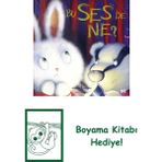 Bu Ses De Ne? + Boyama Kitabı