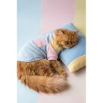 Bubbles Pastel Kedi Uyku Takımı | Mini Yastıklı Şeker Renkli Yazlık Kedi Pijama Seti