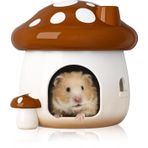 BUCATSTATE Hamster Hideout Seramik, Mantar Şekilli Hamster Evi ve Habitatları Havalı Yatak Tüm Mevsimler için İdeal Cüce Hamster Gerbil Fareleri Altın Ayı (Kahverengi-Büyük)