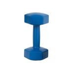 Buffer 6 kg Plastik Dambıl
