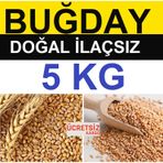 Buğday 5 Kg Yemlik Buğday Tavuk Yemi Güvercin Yemi Kanatlı Yemi