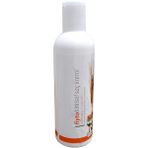 Buğday Özlü Saç Kremi 500 ml