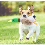 BUĞZ Sesli Ördek Şekilli Peluş Köpek Oyuncağı