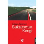 Bukalemun Rengi Dorlion Yayınevi