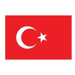 Buket BKT-136 15x22.5 cm Çift Katlı Masa Bayrağı