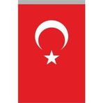 Buket Türk Bayrağı ( 20x30)