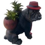 Buldog Saksı, Bulldog Saksı, Bahçe Dekorasyon, Bahçe Saksı, - Çok Renkli
