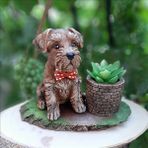 Bulut Köpekli Saksı Set Kütüklü