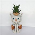 Bulut Taçlı Kedi Saksı