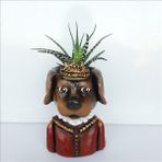 Bulut Taçlı Köpek Saksı