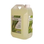 Bulvar 80 Derece 5 lt Limon Kolonyası