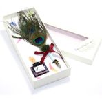 Bun Design Tüy Divit Kalem Seti