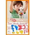 Bundera Organları Tanıtan Eğitici Bebek Oyuncak Insan Vücudu Maketi Anatomisi Iç Organlar Bulmaca Puzzle