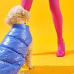 Bunico Içi Tüylü Köpek Montu - Mavi - XS