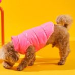 Bunico Içi Tüylü Köpek Montu - Pembe - 2XS