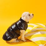 Bunico Içi Tüylü Köpek Montu - Siyah - 2XS