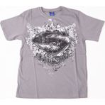 Bunlardan İstiyorum Superman Logo No:2 Tişört Gri
