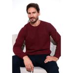 Buratti Slim Fit Bisiklet Yaka Pamuklu Kazak Erkek Kazak 456201 - Mürdüm