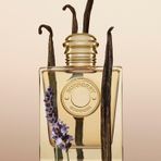 Burberry Goddess Eau De 100 ml Outlet Kadın Parfümü