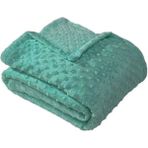 Burç Pearly Aqua Sea Çift Kişilik Tomurcuk Soft Battaniye