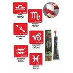 Burç Sembolleri Hint Kınası ile Geçici Dövme Yapma Seti