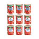 Burcu 9x830 gr Domates Salçası